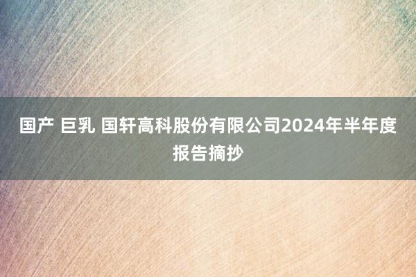 国产 巨乳 国轩高科股份有限公司2024年半年度报告摘抄