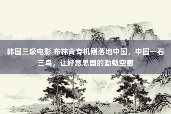 韩国三级电影 布林肯专机刚落地中国，中国一石三鸟，让好意思国的勤勉空费