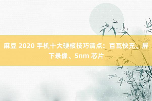 麻豆 2020 手机十大硬核技巧清点：百瓦快充、屏下录像、5nm 芯片