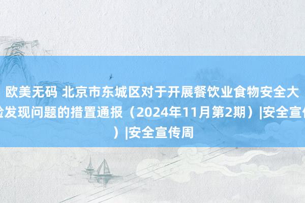 欧美无码 北京市东城区对于开展餐饮业食物安全大查验发现问题的措置通报（2024年11月第2期）|安全宣传周